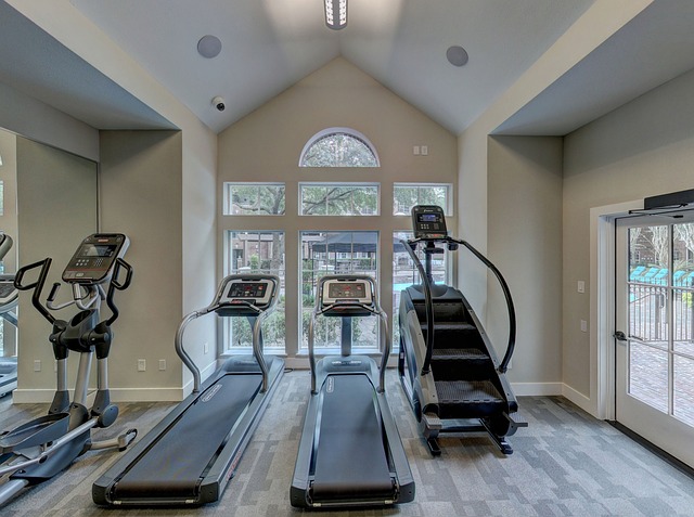 Treadmill (Motorised, foldable)