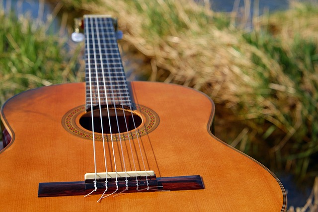 Acoustic Guitar with bag