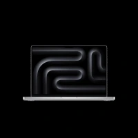 Apple MacBook Pro (14.2 inch, M4, 16GB, 512GB, macOS Sequoia, Silver)