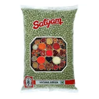Satyam Vatana Green