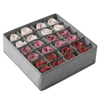Double R Bags Foldable Garment Drawer Organiser - 32x32x10 cm