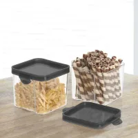 Steelo So Fresh Stack Plastic Container (700 ml) - Set Of 2