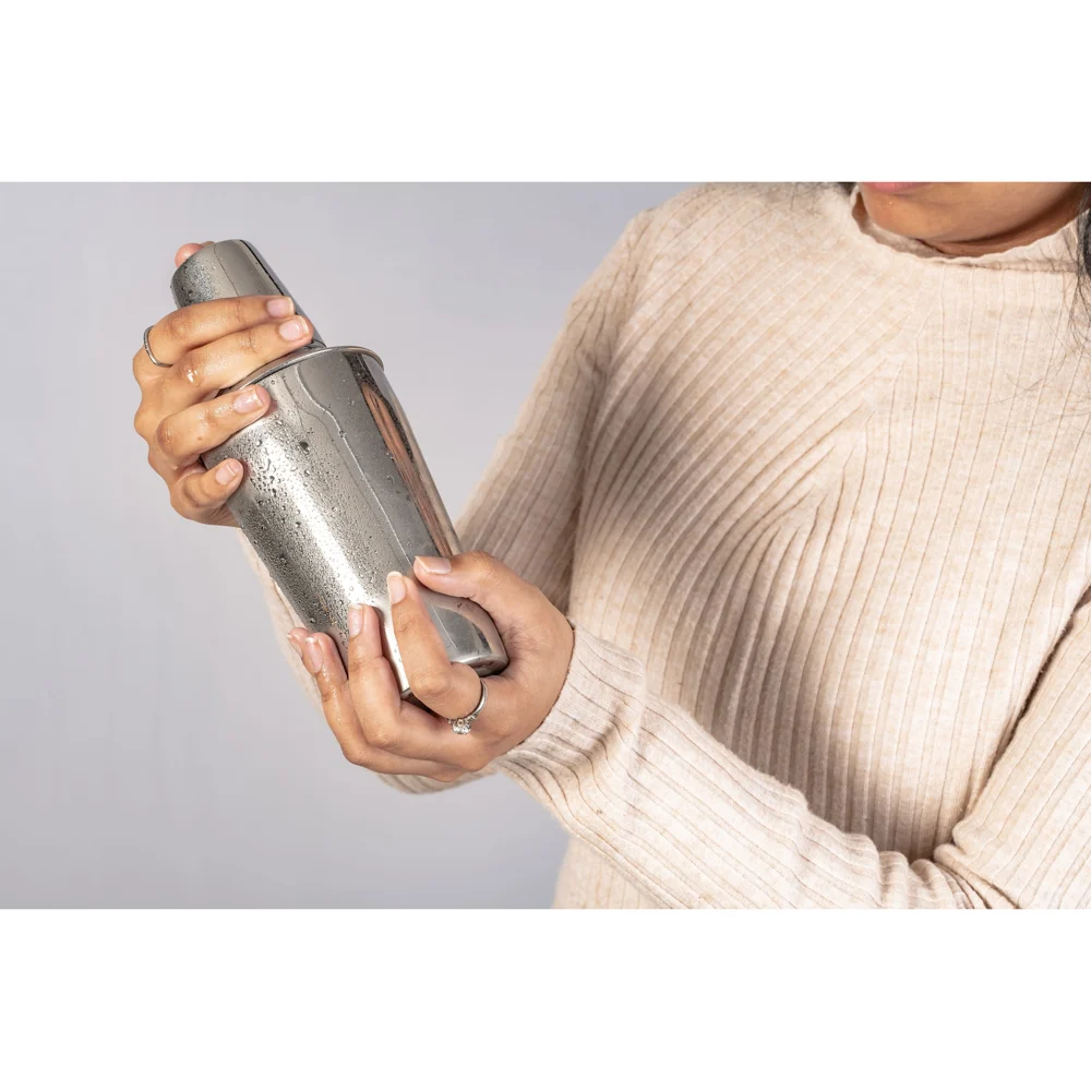 Elephant Stainless Steel Regular Cocktail Shaker
