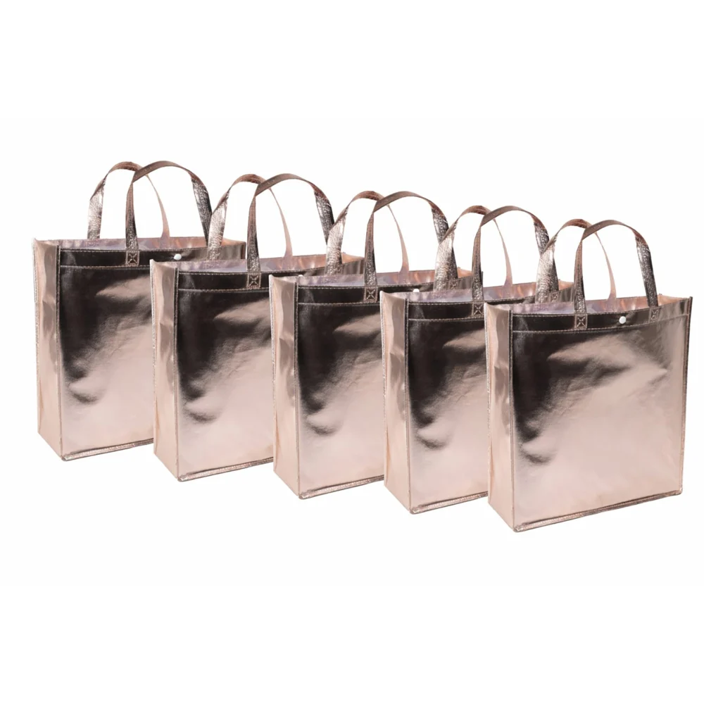 Rose Gold Gift Bag (Small) Set Of 5
