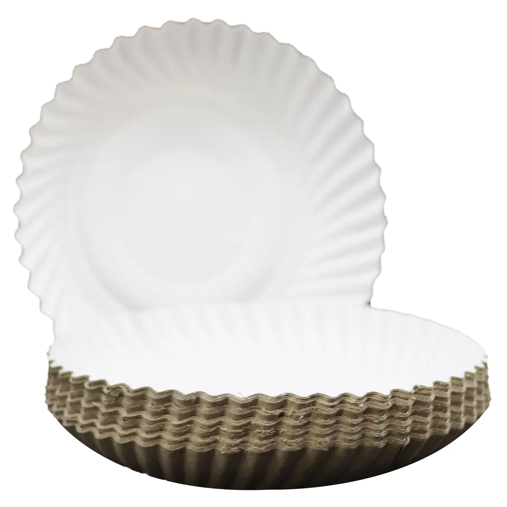 Richbond Disposables Paper Plate White -7 Inches