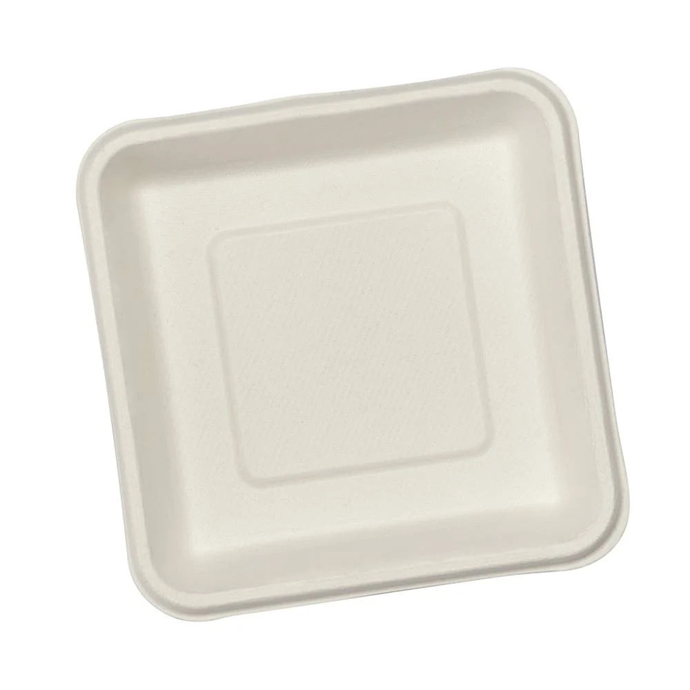Exim Sonnet Bagasse Disposable Square Plate 1D - (50 Piece)