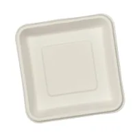 Exim Sonnet Bagasse Disposable Square Plate 1D - (50 Piece)