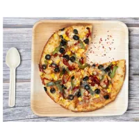 Tamul Disposable Square Areca Palm Leaf - 10 Inch Plates & 160 mm Spoon Set
