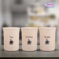 Asian Accurate Seal Multipurpose Storage Containers (Beige) - Set Of 3