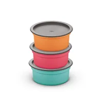 Asian Dynamic Airseal Popular Container (600 ml) - Set Of 3
