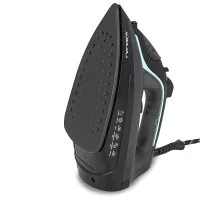 Bajaj MX 45 Steam Iron (Black) - 2000 W
