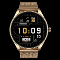 noise NoiseFit Twist 2 Smartwatch with Bluetooth Calling (36.32mm, AMOLED Display, IP67 Water Resistant, Gold Link Strap)