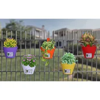 Krish Single Hook Planter Pot (Multicolour) - Set Of 5
