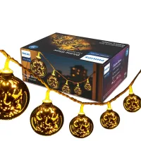 Philips Divineglow Ganeshji 10LED String Light (Warm White) - 4 Meter