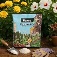 Ugaoo Epsom Salt For Plants - 1 kg
