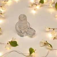 House Of Festivals Transparent Shivling