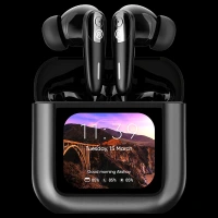 noise View Buds AUDHDPHNVIEWBUDBLK TWS Earbuds with Active Noise Cancellation (IPX4 Water Resistant, In-Built EQ Modes, Metallic Black)