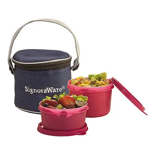 Signoraware Executive Small Lunch Box With Bag (Assorted)