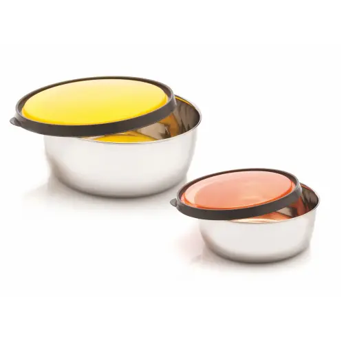SignoraWare Elegant Steel Round Containers (1000 ml+625 ml) - Set Of 2