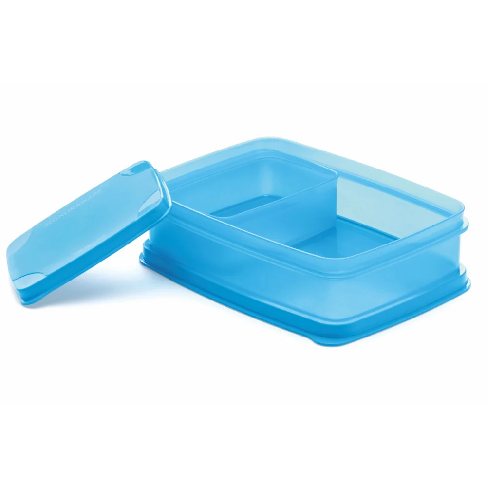 SignoraWare Plastic Small Compact Lunch Box (Blue) - 2 Containers