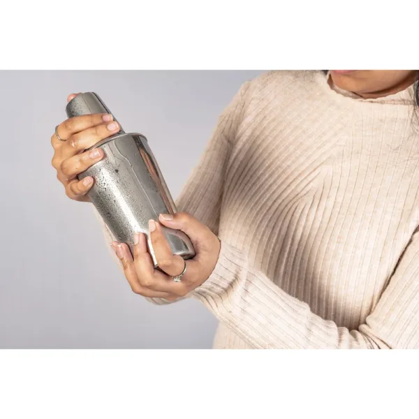 Elephant Stainless Steel Regular Cocktail Shaker