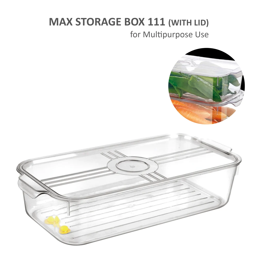 Jaipet Max 111 (Small) Storage Box With Lid - Transparent