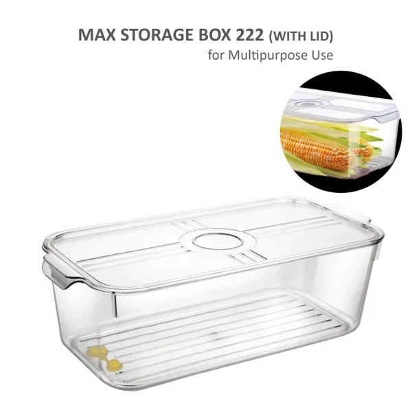 Jaipet Max 222 (Medium) Storage Box With Lid - Transparent