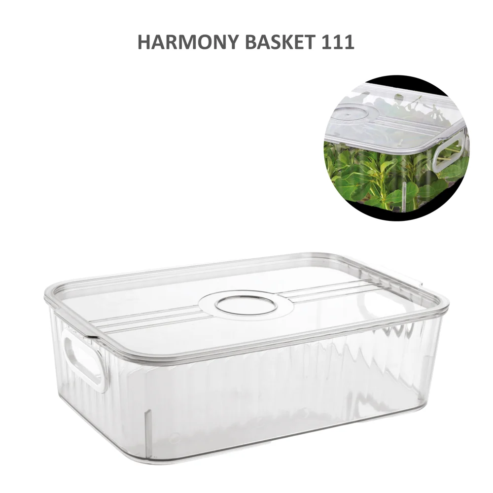 Jaipet Harmony 111 (Small) Basket With Lid - Transparent