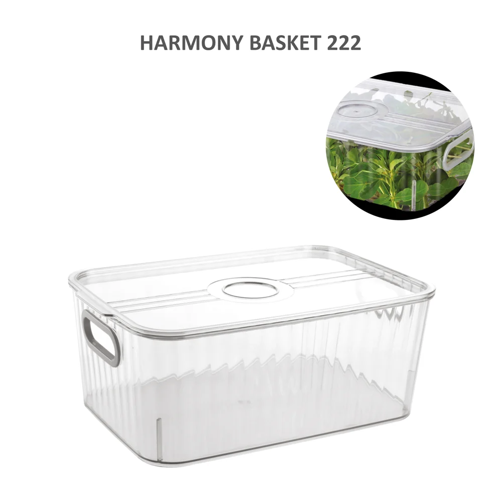 Jaipet Harmony 222 (Medium) Basket With Lid - Transparent