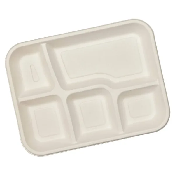 Exim Sonnet Bagasse Disposable Meal Tray 5 Compartment - (20 Piece)