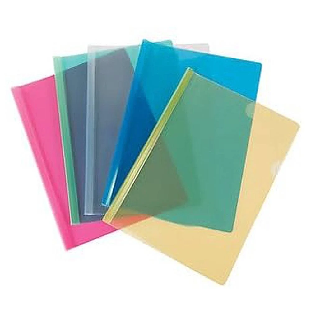 SPS Strip File Folder A4 Size (Multicolour) - 10 Pieces