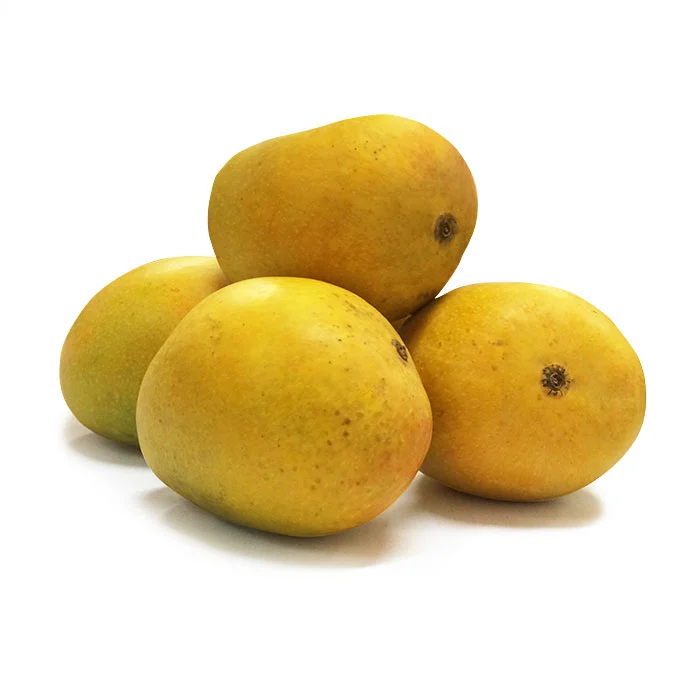 Fresh Mango Alphonso Ratnagiri (Hapus Aam)
