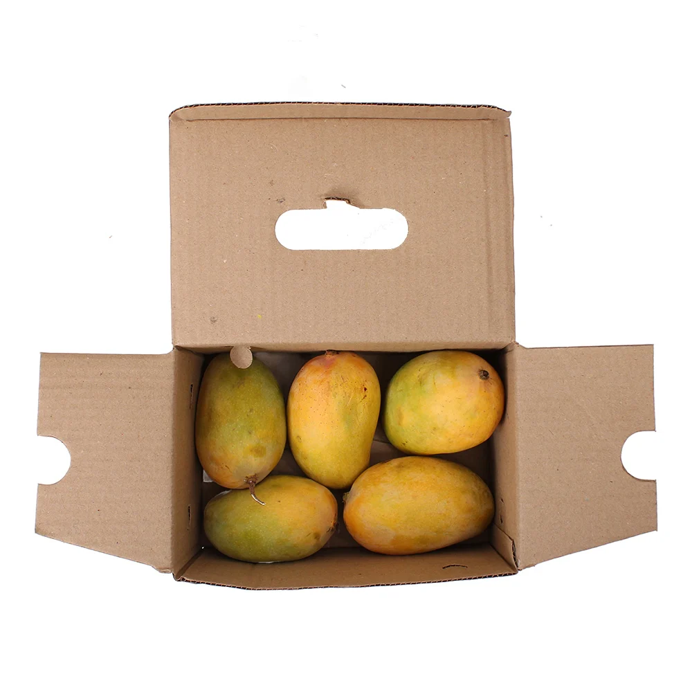 Fresh Mango - Kesar (Aam)