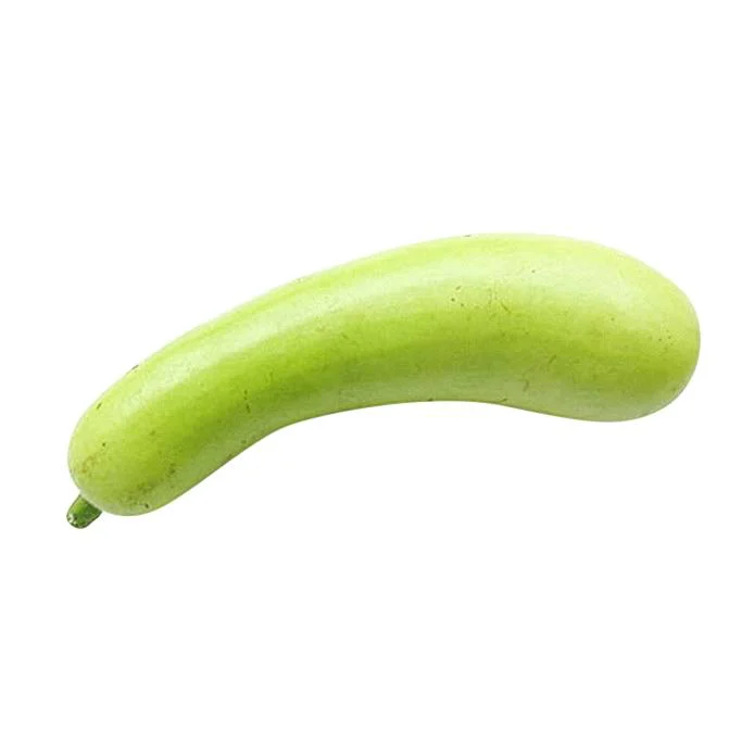 Bottle Gourd (Dudhi)