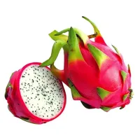 Fresh Dragon Fruit (Pitaya)
