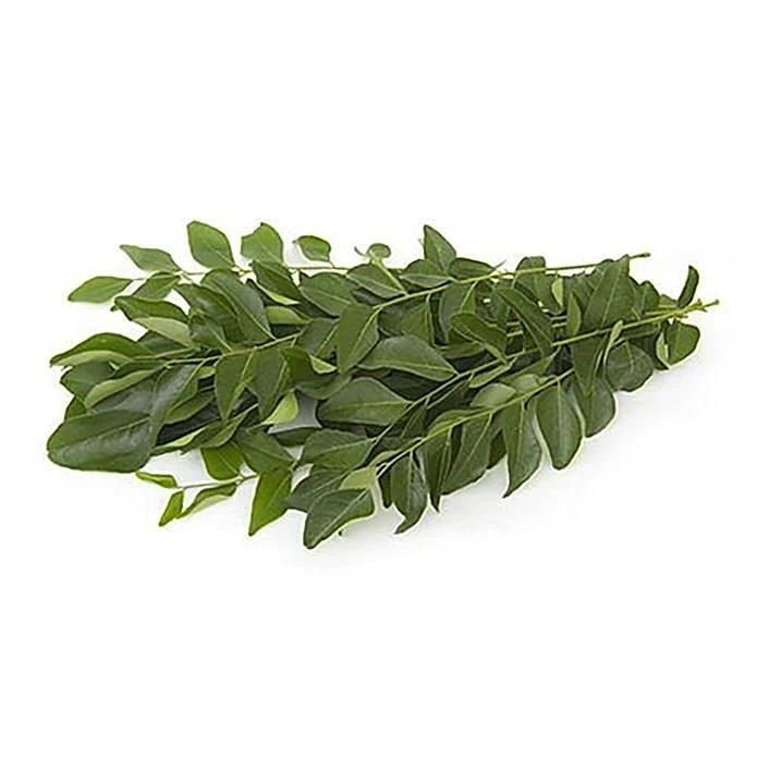 Fresh Curry Leaves (Kadi Patta)