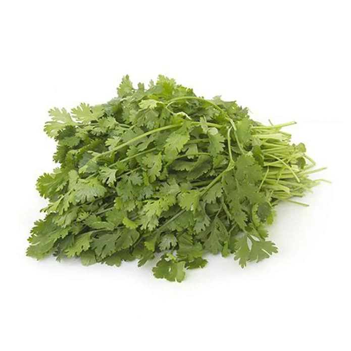 Fresh Coriander (Kothimbir)