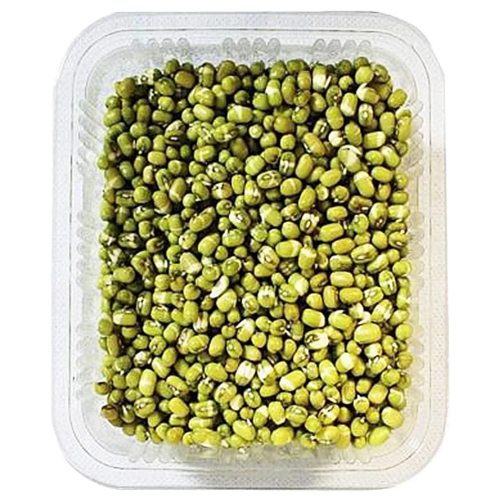 Fresh Sprouts Moong Green
