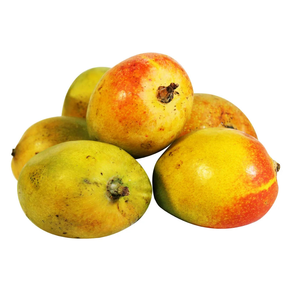 Fresh Mango Lalbagh Sindhura (Aam)
