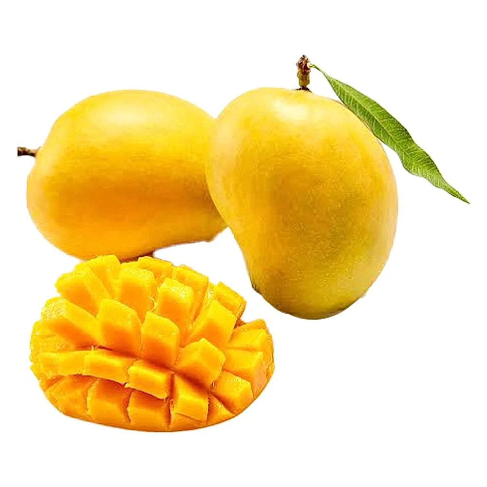 Fresh Mango Alphonso Premium Ratnagiri