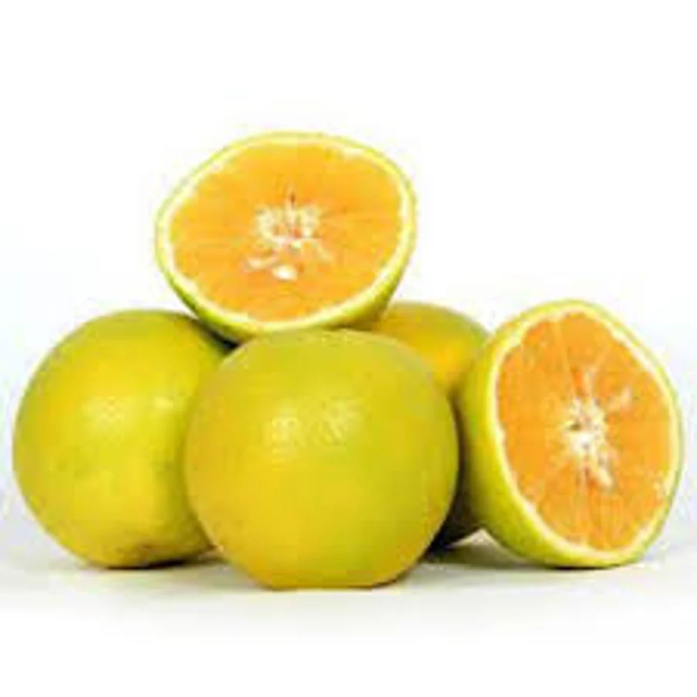 Fresh Mosambi