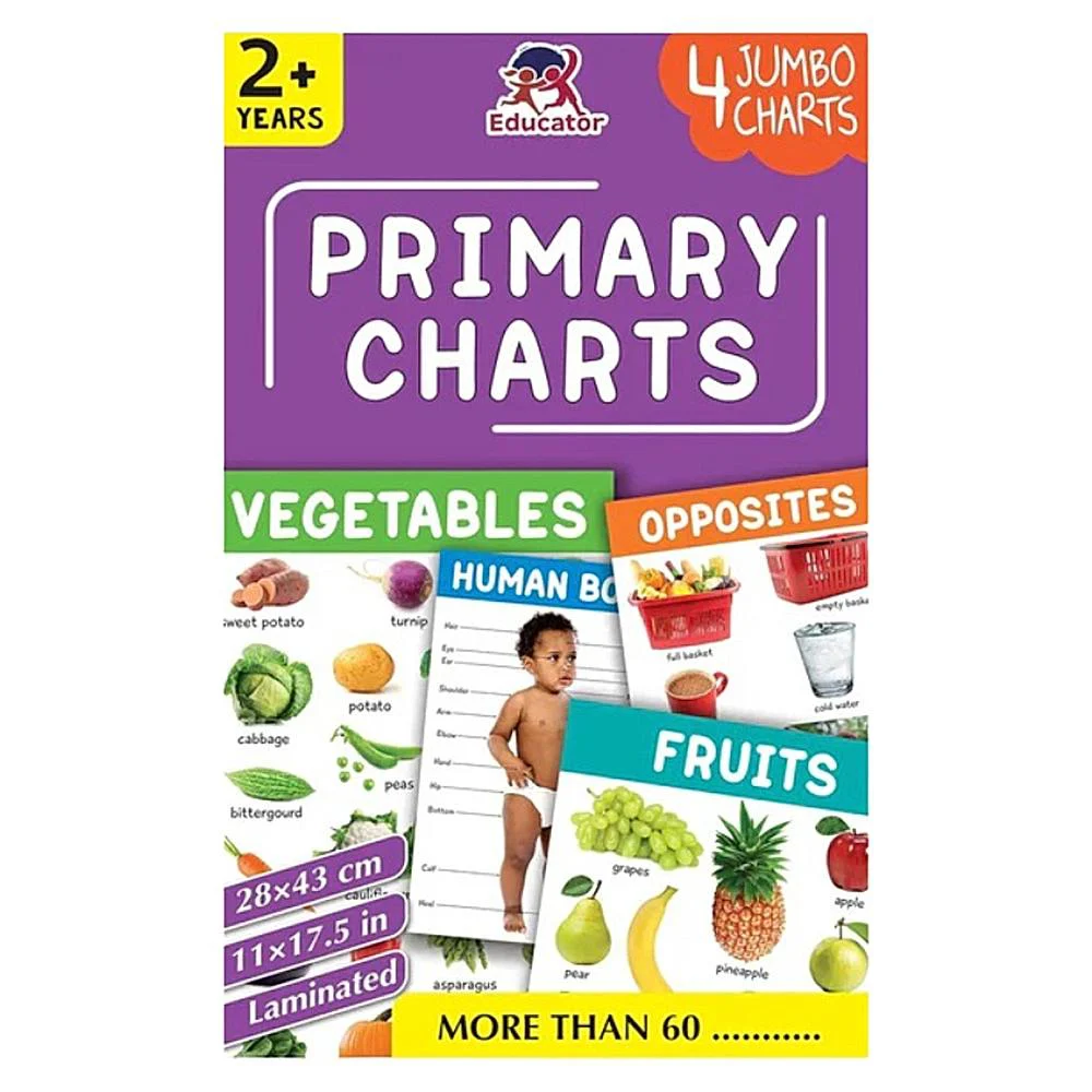 Primary Learning Charts - 4 Jumbo Charts | Children's Educational Charts | Early Learning | Pegasus