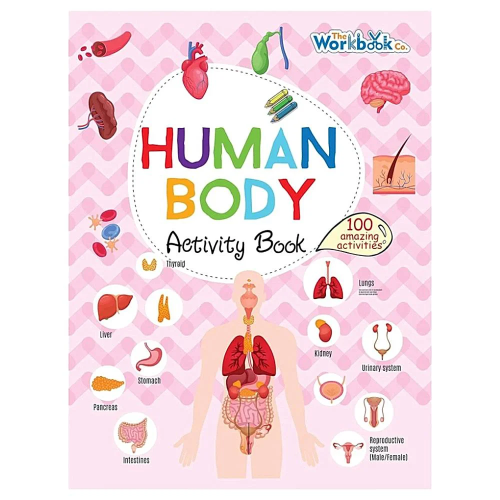 Human Body - Activity Book by Pegasus Books | Children's Book | 100+ Activities | Pegasus