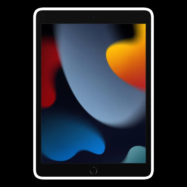 Apple iPad 9th Generation Wifi (10.2 Inch, 256GB ROM, Space Grey, 2021 model)