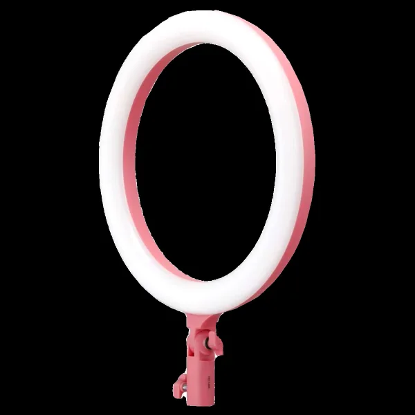 Godox LR120 Ring Light with Mobile Holder for Photography & Videography (Built-In Bi Color)