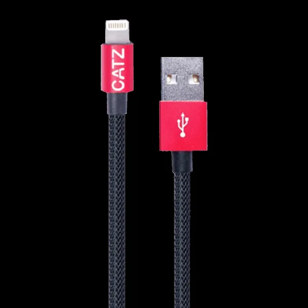 Brilyant CZ-LT Type A to Lightning 3.2 Feet (1M) Cable (Nylon Braided, Black)