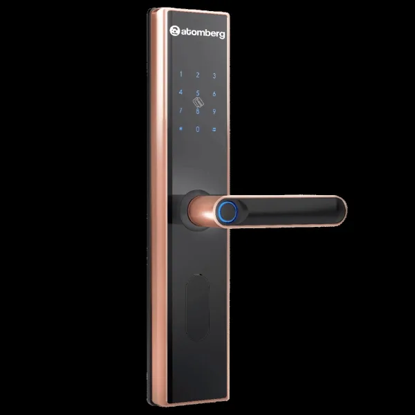 atomberg SL1 Digital Smart Lock (6 Ways Unlocking, FG0567, Rose Gold)