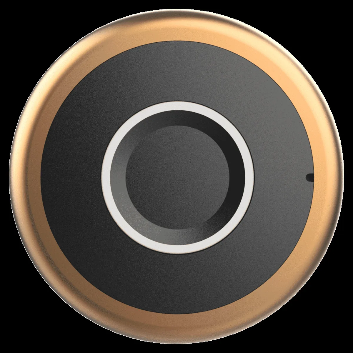 Yale YLDRPC Digital Smart Lock (LED Light & Sound Indicator, Rose Gold)