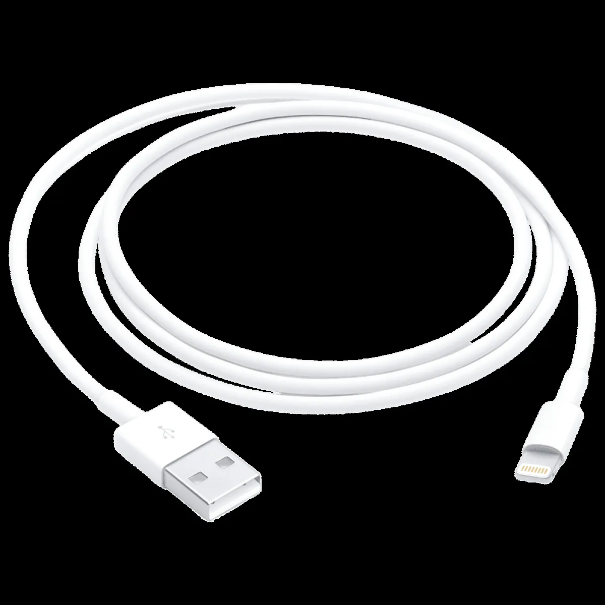 Apple Type A to Lightning 3.2 Feet (1M) Cable (Reversible Design, White)