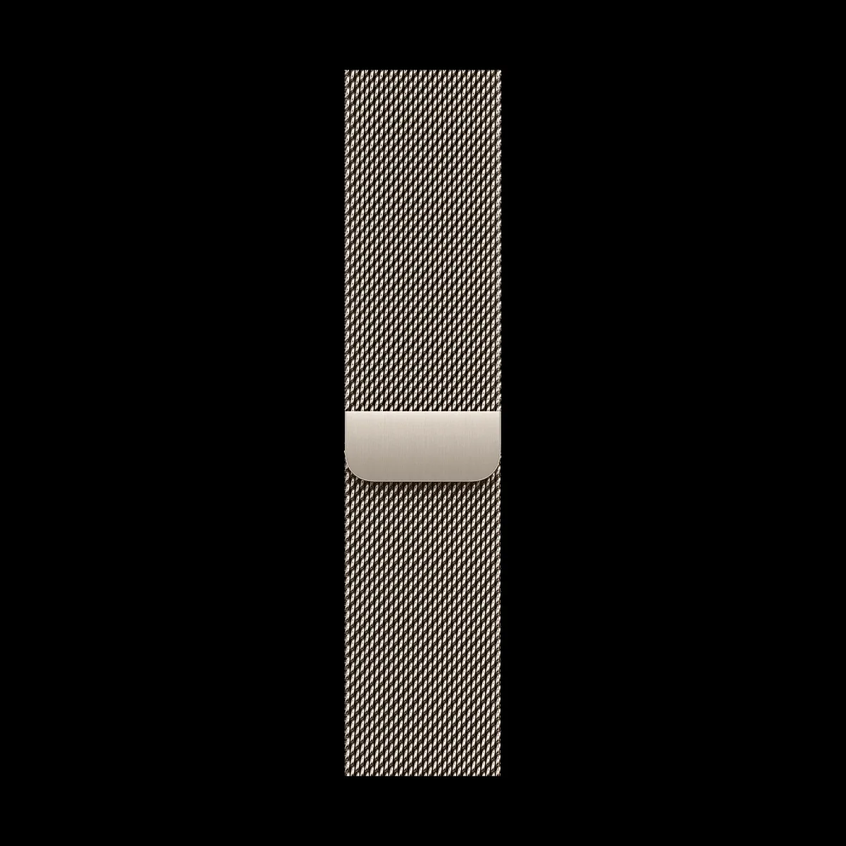 Apple Stainless Steel Milanese Loop for Apple (38mm / 40mm / 41mm / 42mm) (Physical Vapour Deposition Layer, Natural)